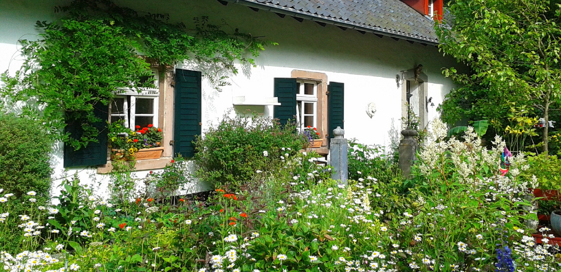 6 Easy Ways to Upgrade Your Garden