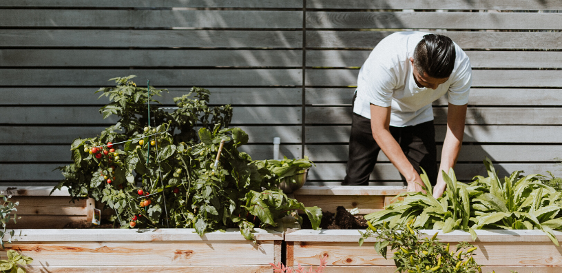 How to Spruce up Your Backyard on a Budget