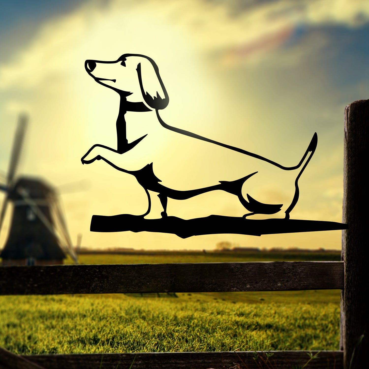 Puppy Love: Dachshund