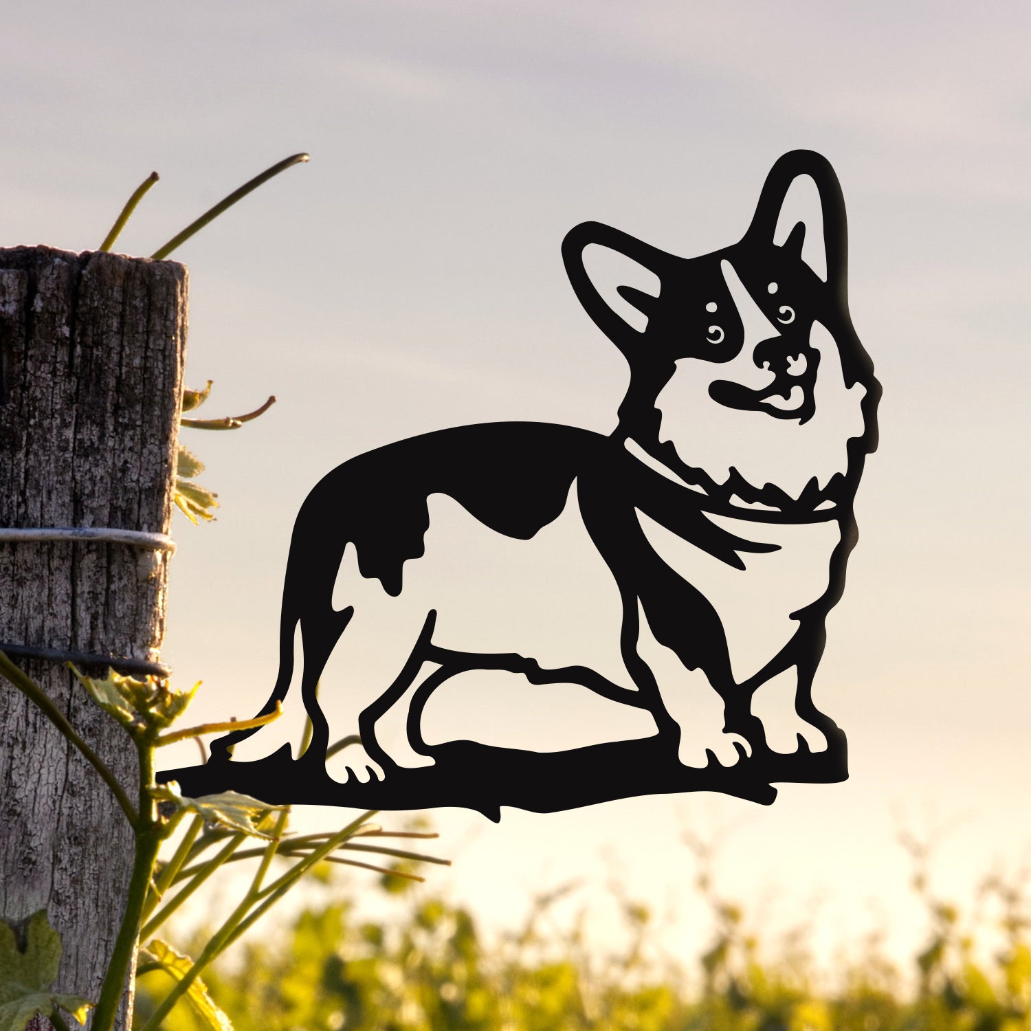 Puppy Love: Corgi