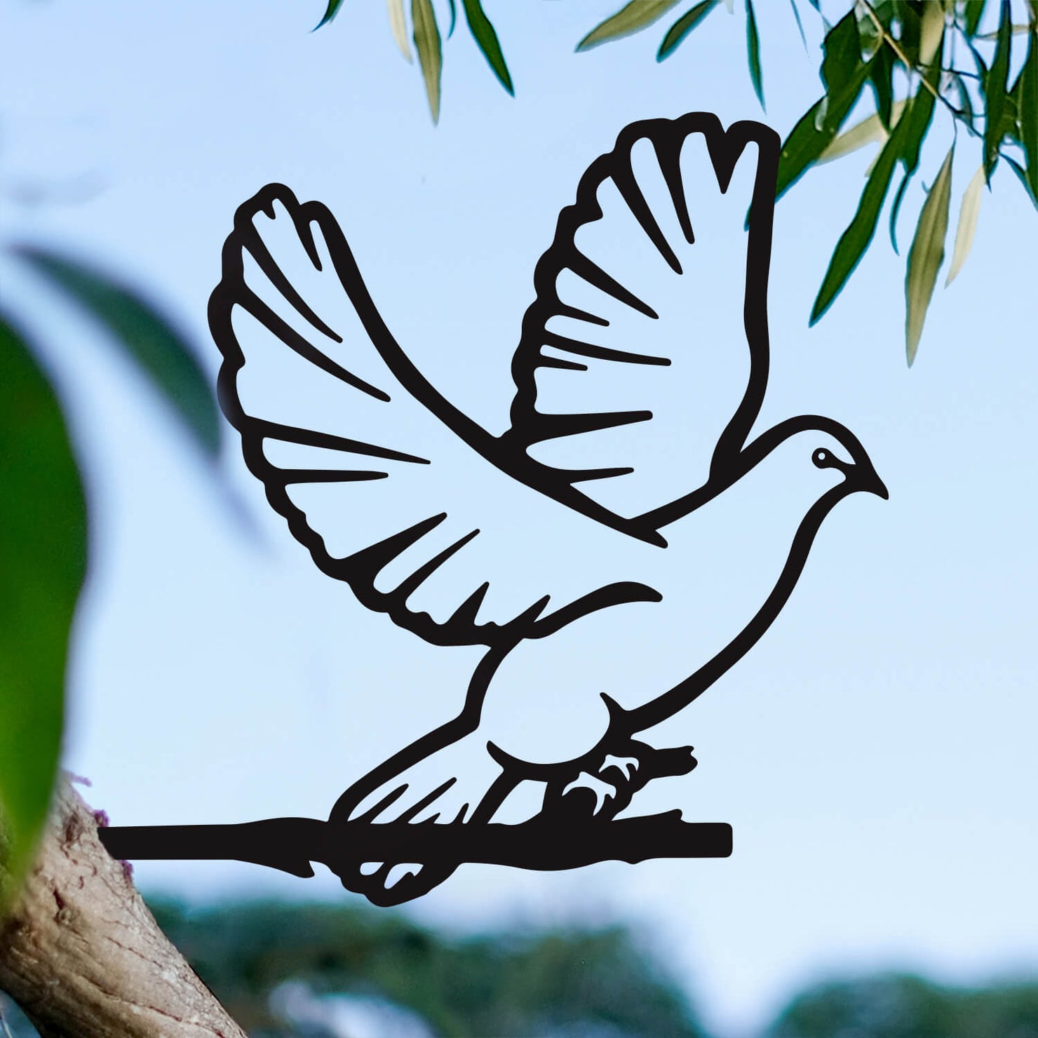 Birds of a Feather: Dove