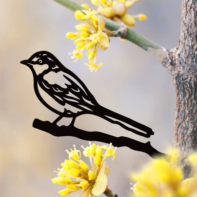 Birds of a Feather: Mockingbird
