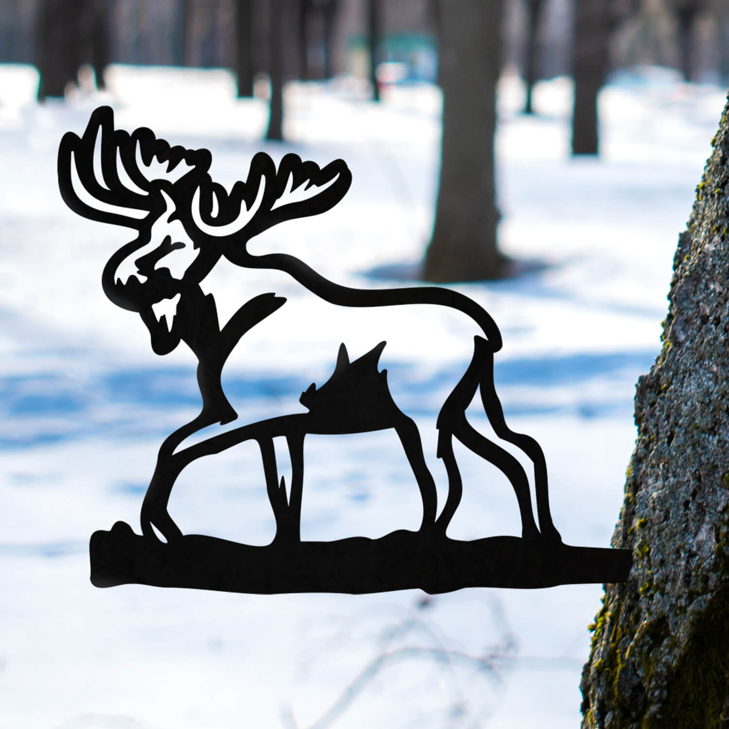 Moose It or Lose It