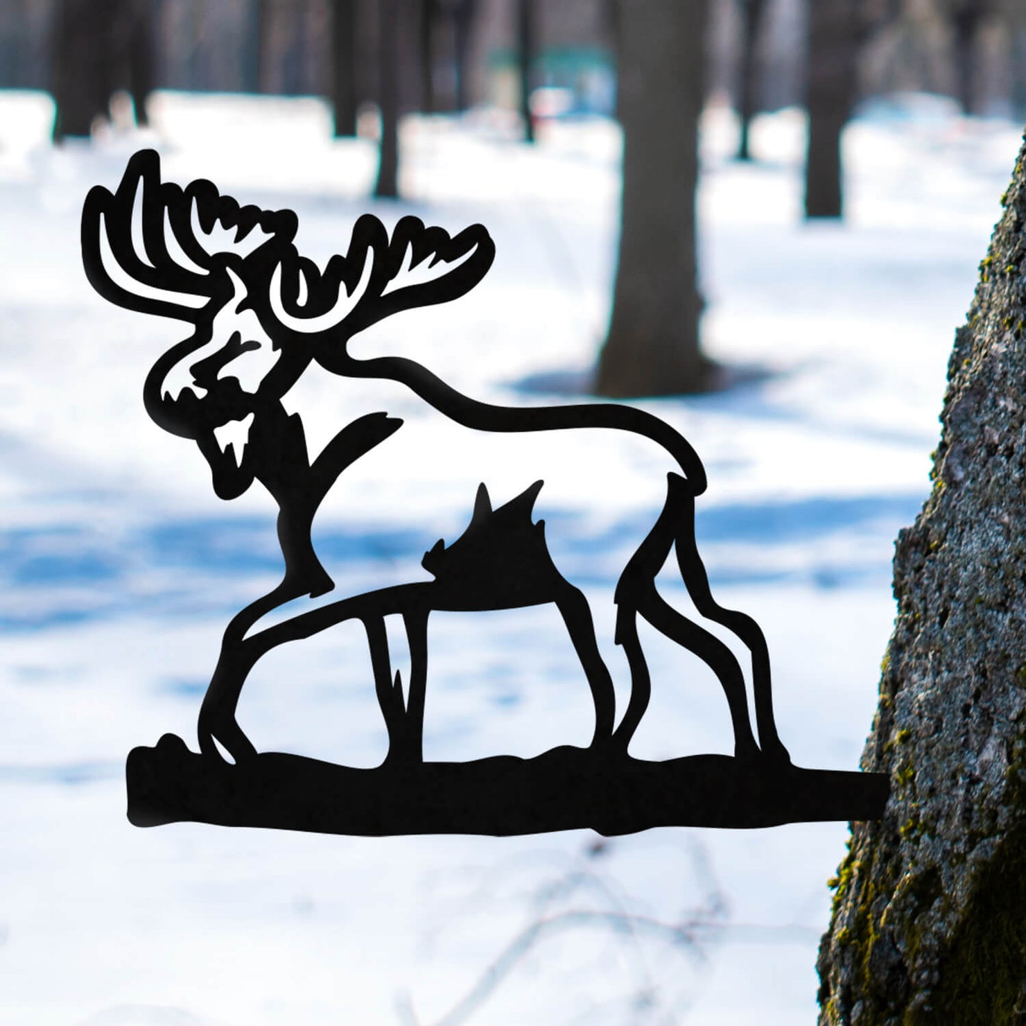 Moose It or Lose It