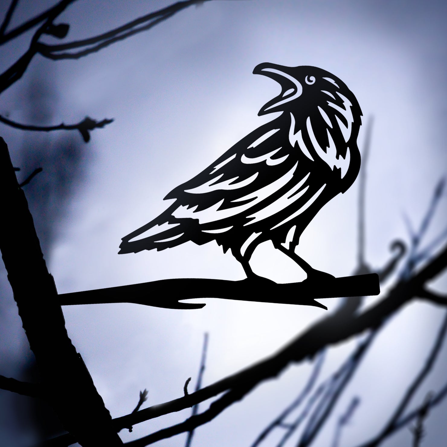 Birds of a Feather: Raven