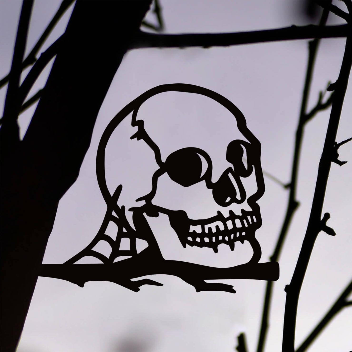 Spooky Season: Skull
