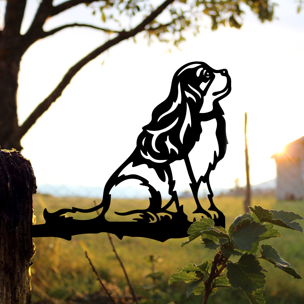 Puppy Love: Spaniel