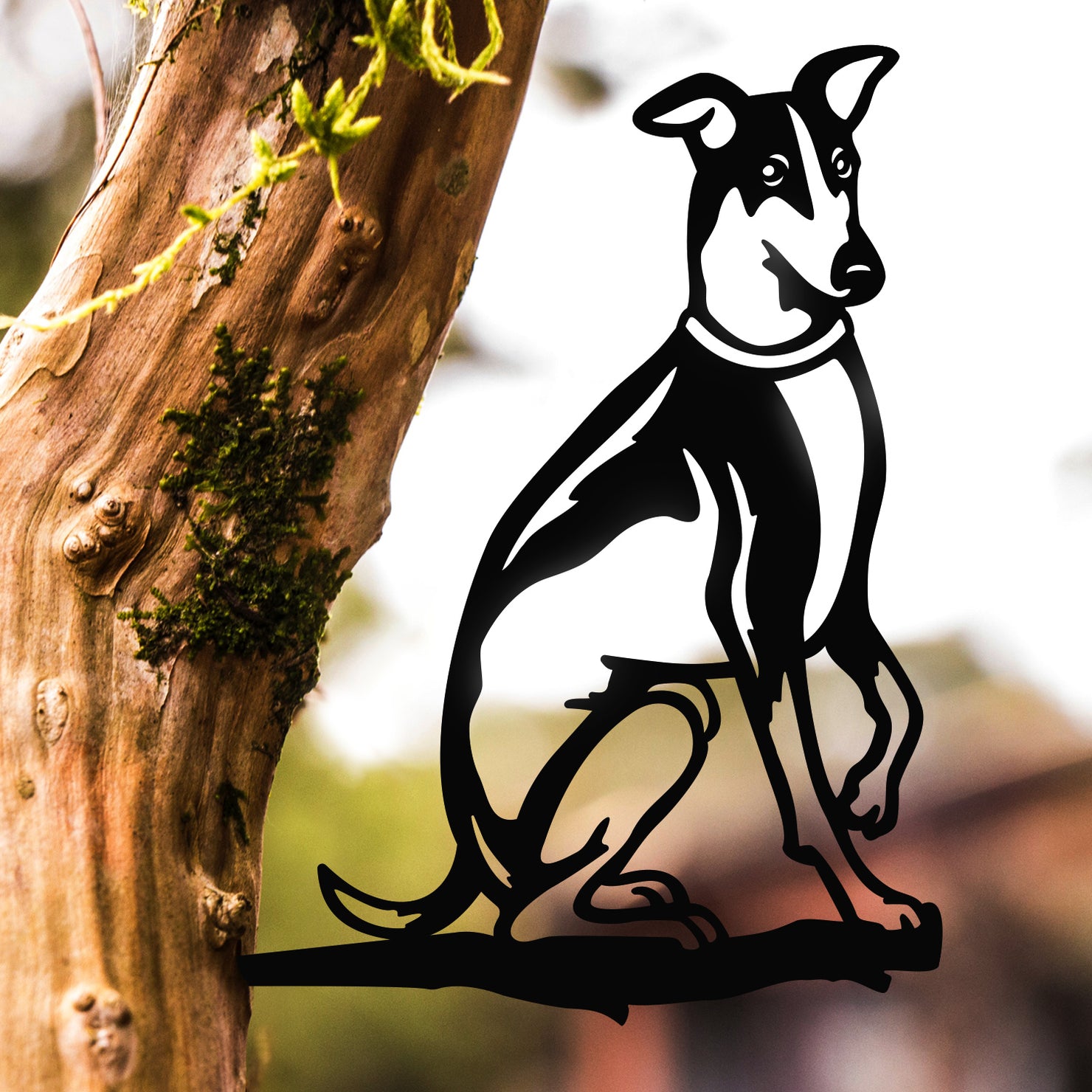 Puppy Love: Greyhound