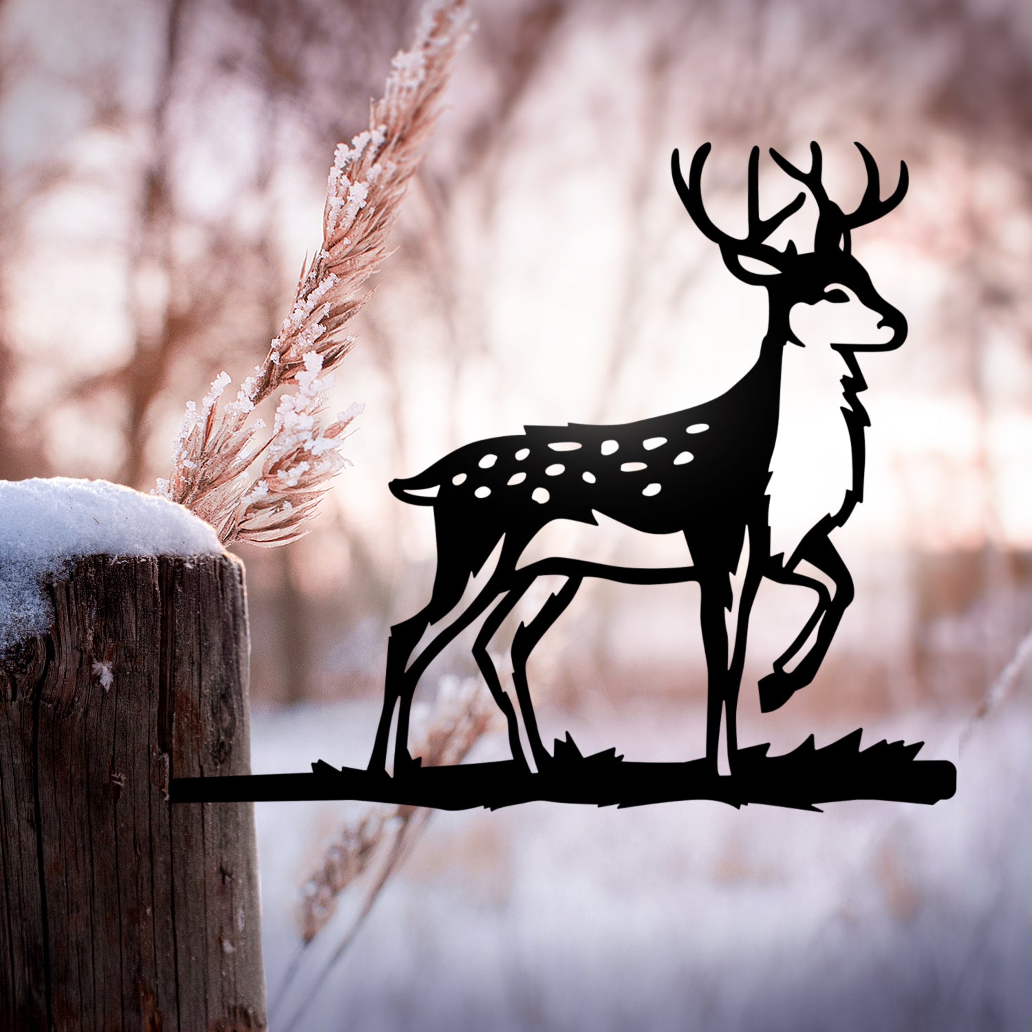 Oh Deer! (Buck)