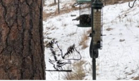 Customer's eagle silhouette mounted on a tree in winter